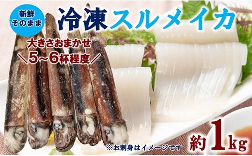 
                  三陸水産 冷凍スルメイカ 約1kg （5～6杯程度） イカ 刺身 いかの塩辛 いかめし いかげそ イカ焼き フライ いかソーメン 新鮮 海産物 魚介 使いやすい 便利 ふるさと納税 おすすめ
                