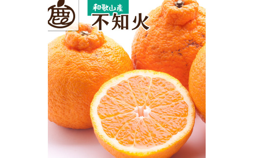 不知火 厳選 1kg+250g（痛み補償分） / みかん しらぬい 光センサー 選別 デコポン 柑橘 晩柑 和歌山 甘い 8000円 / ※2027年2月上旬～4月上旬ごろに順次発送予定 ※北海道・沖縄・離島への配送不可 【ikd010-p-1C】