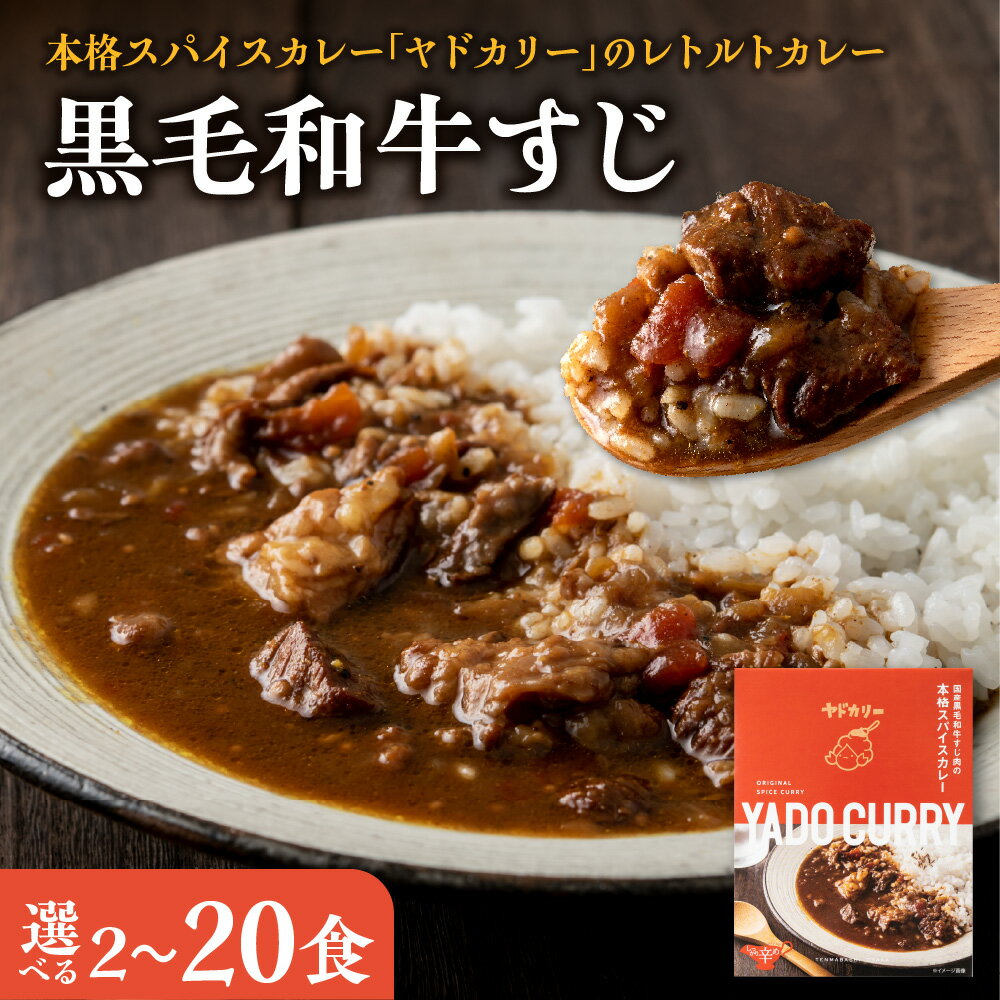 【ふるさと納税】【近鉄百貨店】ヤドカリー レトルトカレー 黒毛和牛すじ 本格スパイスカレー 大阪天満橋 国産牛すじ肉 赤ワイン ソテーオニオン フルーツ とろとろ 深みのある味わい パンチのある辛さ さわやかなスパイス 大阪府