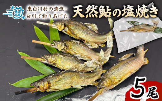 天然鮎塩焼き 5尾 国産 冷凍 竿釣り 鮎 あゆ アユ 川魚 焼き魚 炭火焼 天然 清流 魚介 海鮮 和食 おかず おつまみ グルメ 食品 川釣り 白川清流 冷凍 急速冷凍 真空パック 岐阜県産 東白川村