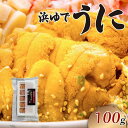 【ふるさと納税】 浜ゆで うに 100g×1 期間限定 ウニ 雲丹 茹でうに 冷凍 寿司 Sea urchin 新鮮 ごはん 夕飯 おかず おつまみ 晩酌 米 丼 海産物 海鮮 魚介 魚介類 三陸 岩手県 大船渡市