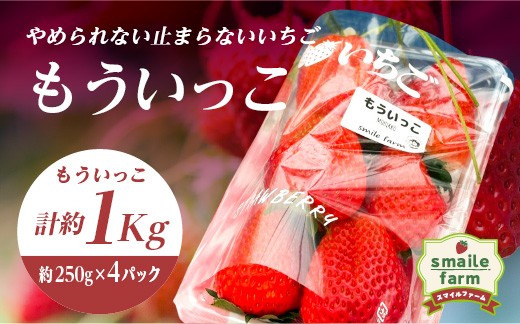 
                  スマイルファーム やめられない止まらないいちご もういっこ 約1kg FAF-0041
                