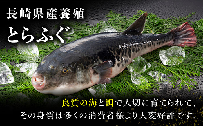 【敬老の日到着】とらふぐ 刺身 5人前 アラ付き / ふぐ ふぐ刺し南島原市 / 大和庵 [SCJ031]