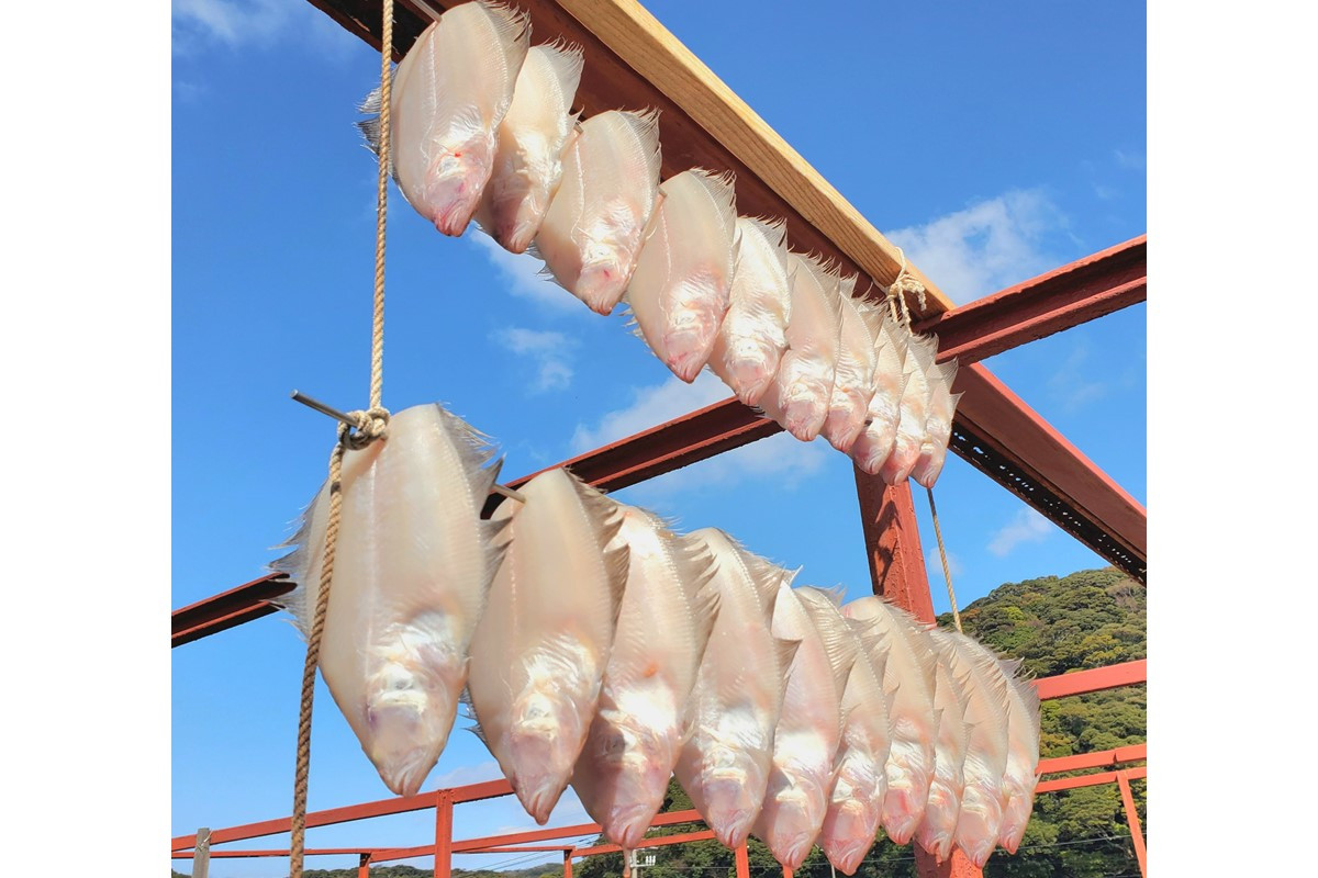 
            【スピード発送】電子レンジ調理可能！　日本酒おつまみ　天日干し　加塩ミズカレイ　3枚　合計300ｇ以上 【1980】
          