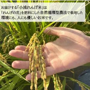 日高の郷 無洗米つきお野菜BOX(白米)【配送不可地域：離島】【1675578】