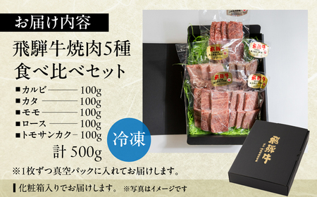 飛騨牛 焼肉 5種 食べ比べセット（各100g）計500g （カルビ・肩・モモ・ロース・トモサンカク）【22-53】