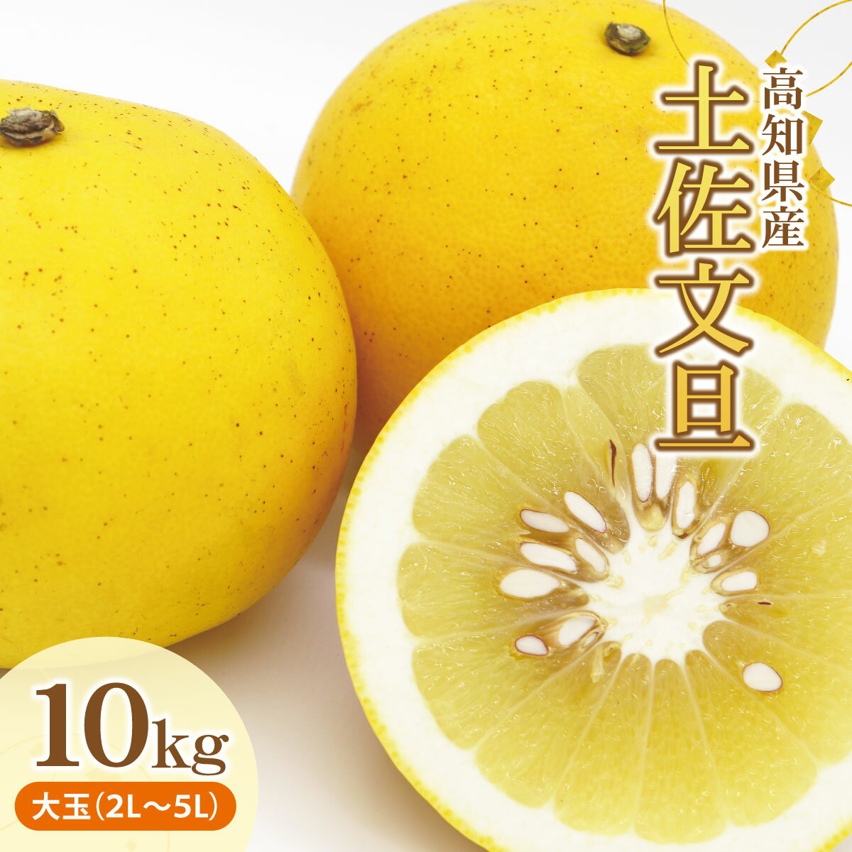 【ふるさと納税】土佐文旦（ぶんたん）（大玉：2L～5L混合）約10kg 文旦 2026年 先行予約 20000円 10キロ 約14～21玉 ぶんたん ブンタン 柑橘 果物 フルーツ お取り寄せ おいしい 美味しい 故郷納税 ふるさとのうぜい 返礼品 高知県産 高知 【株式会社とさもん（土佐市）】