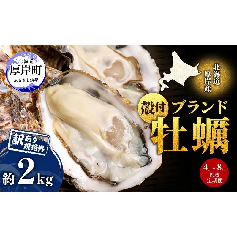 [4～8月]定期便 訳あり 厚岸産牡蠣 約2kg 規格外 ブランド牡蠣