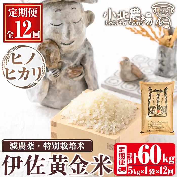 isa603 《数量限定・12回定期便》令和7年産 小北農場のお米 伊佐黄金米〈ヒノヒカリ〉(計60kg・5kg×1袋×12回) 鹿児島 伊佐 お米 特別栽培米 伊佐米 白米 ヒノヒカリ ひのひかり おにぎり ごはん 【小北農場】