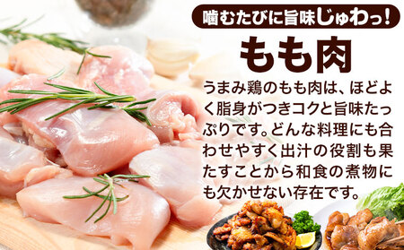 鶏肉 もも 3.1kg 鶏肉