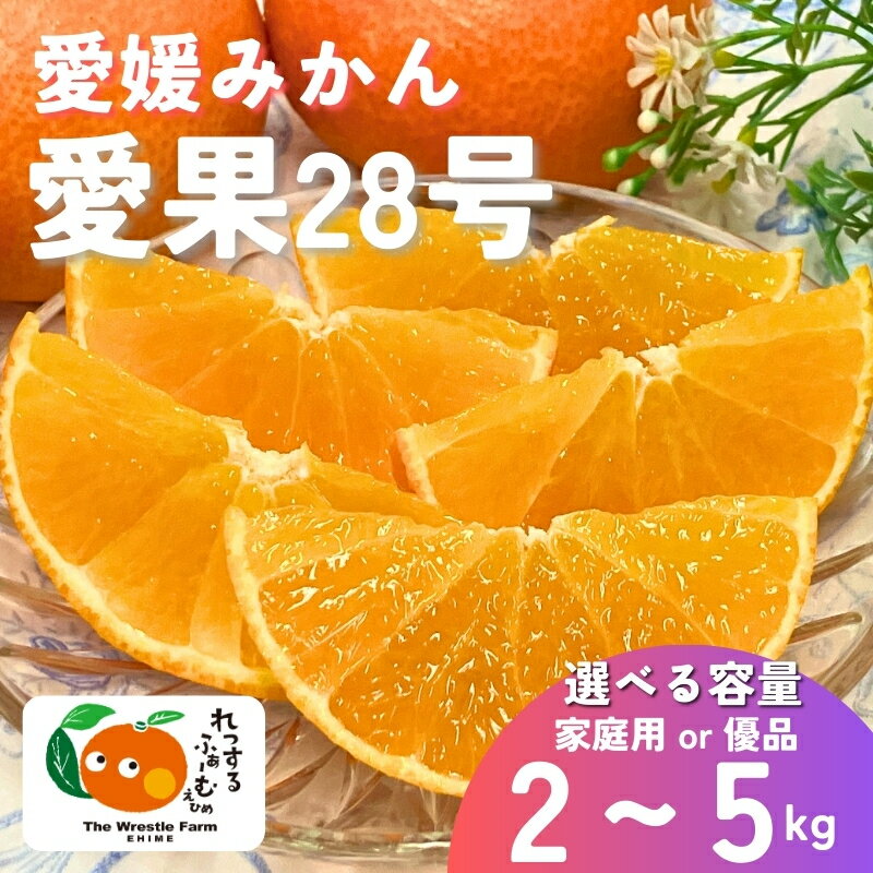 【ふるさと納税】みかん 愛媛県 愛果28号 紅まどんなと同一品種 【選べる容量】 2kg 3kg 5kg 訳あり ご家庭用 優品 贈答用 先行予約 ＜2026年11月下旬から順次発送予定＞ レッスルファーム 数量限定 おすすめ 美味しい おいしい グルメ フルーツ くだもの 人気 柑橘 伊予市