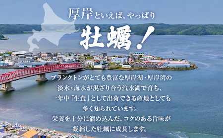 厚岸産 殻牡蠣 Lサイズ 20個 セットカキ 大粒 新鮮 濃厚 マルえもん 牡蠣
