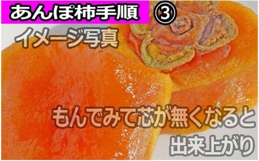  【県認定エコファーマー】あんぽ柿用生渋柿（平たねなし柿） 約4.5～5kg【10月下旬から順次発送】 /柿 フルーツ 果物 くだもの 先行予約 タネなし 食品 人気 おすすめ 送料無料 和歌山 【a