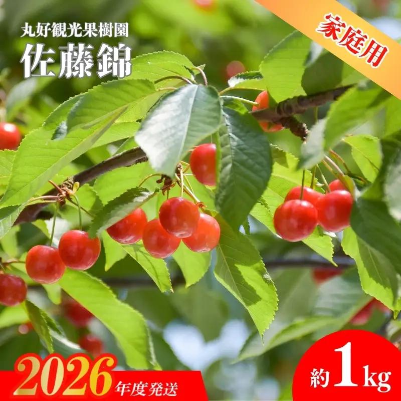 No.2713 さくらんぼ「佐藤錦」家庭用約1kg【2026年発送】