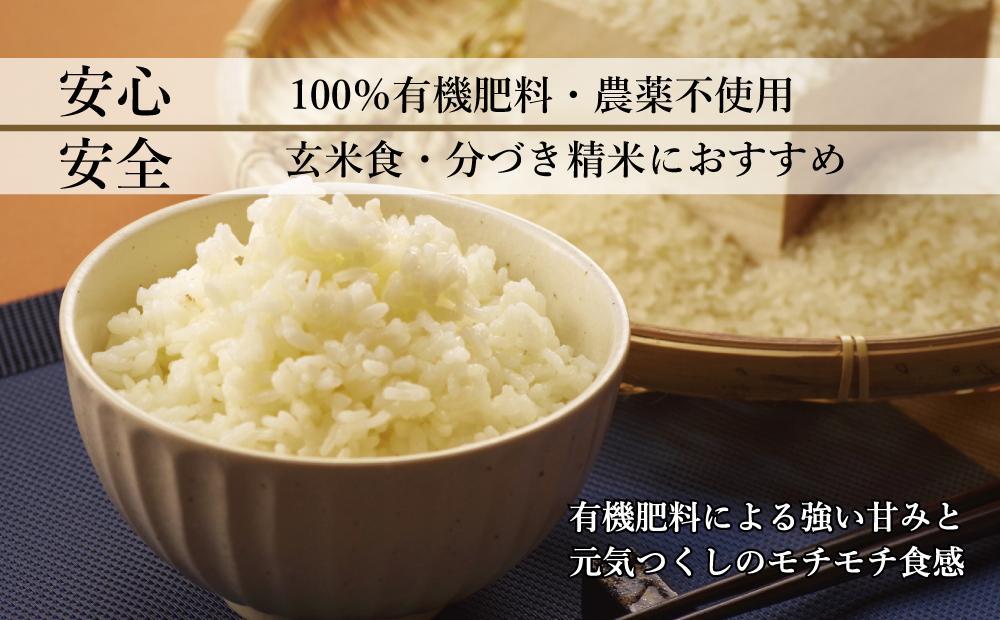 【令和6年度新米】玄米(特別栽培農産物)元気つくし 5kg×2袋 (計10kg)