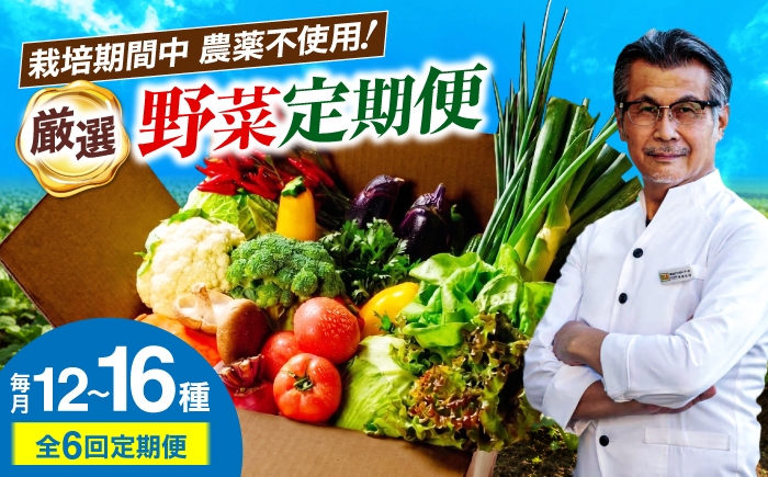 
            野菜定期便【全6回】シェフの目線で厳選！ 6ヶ月 定期便 大洲市/（有）ヒロファミリーフーズ [AGBX004]野菜セット やさいセット 愛媛県産 大洲市産 産地直送 おすすめ 人気 お取り寄せ 送料無料 贈答 ギフト 旬野菜 食材セット 宅配 おまかせセット お任せ 野菜 詰め合わせ お試しセット 新鮮 こだわり シェフ厳選 サラダ 炒め物 スープ 鍋 煮物 6回定期便 6か月定期便
          