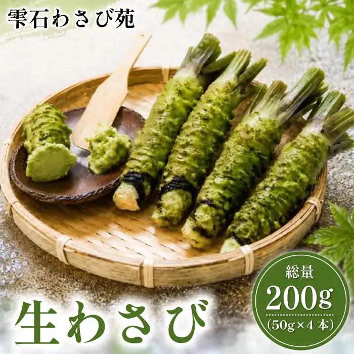 栽培期間中 農薬 化学肥料 不使用 国産 わさび 約 50g 4本 総量 200g 【雫石わさび苑】 野菜 やさい 香味野菜 山葵 ワサビ 生わさび 生ワサビ 生山葵 薬味 産地直送 日本産 新鮮 調味料 辛味 和食 料理 ２００g 200グラム プレゼント ギフト ご贈答 贈り物 おすすめ 冷蔵発送 お取り寄せ 仕送り 自宅用 家庭用