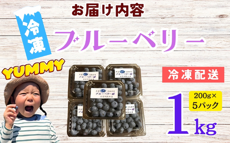 【先行予約】無農薬 完熟ブルーベリー姫[冷凍]１kg(2025年7月より発送） (7-A16)