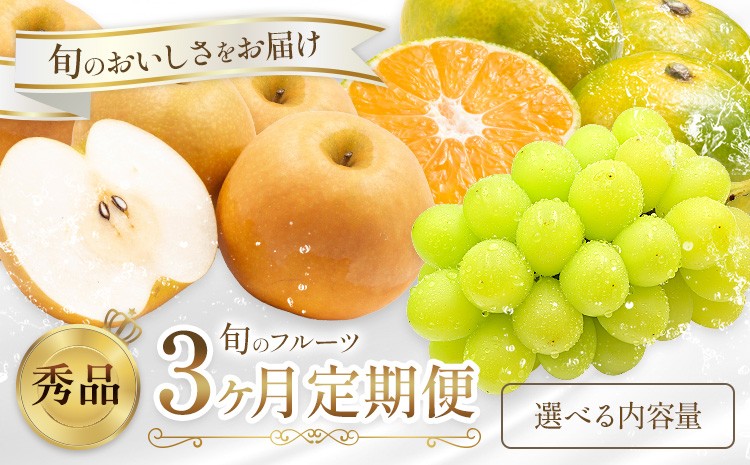 
            旬の フルーツ 定期便 3ヶ月連続 秀品 選べる 内容量 日本フルーツ株式会社《2025年8月上旬-10月末頃出荷》熊本県 荒尾市 シャインマスカット おまかせ 梨 早生みかん 果物 フルーツ スイーツ デザート ギフト ご贈答
          