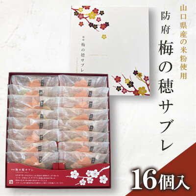 【ふるさと納税】梅の穂サブレ(16個入)【1604661】