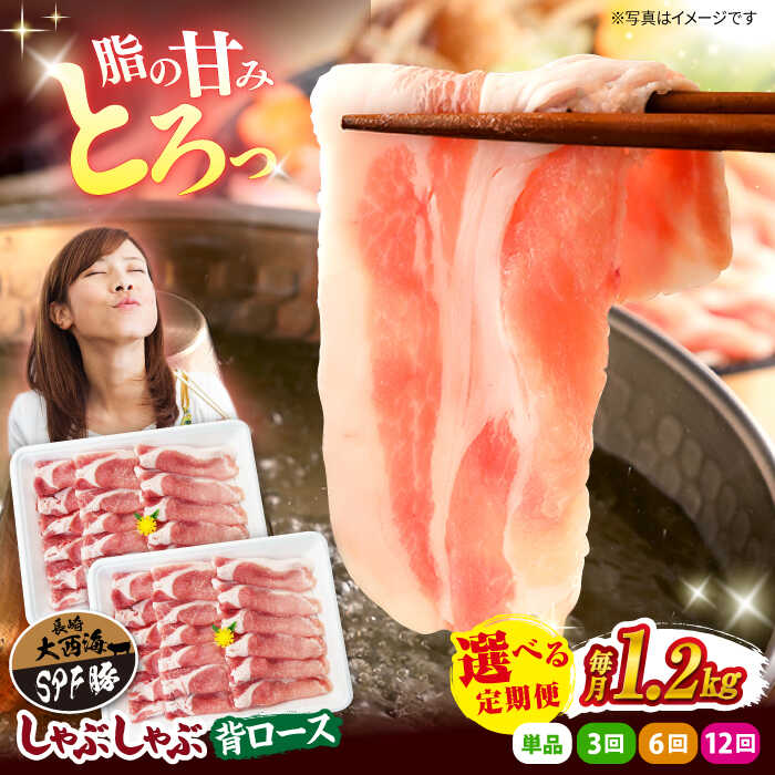 【ふるさと納税】【しゃぶしゃぶ祭り♪】大西海SPF 豚 背ロース しゃぶしゃぶ 用 計1.2kg（約600g×2パック） 訳あり ＜大西海ファーム＞ [CEK037] 長崎 西海 豚 豚肉 肉 国産 ロース こだわり 豚スライス 薄切り 小分け 豚しゃぶ 鍋 炒めもの 贈答 ギフト プレゼント SPF豚