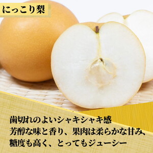 茨城県産【にっこり梨】約5kg【土浦市産】※2026年10月～発送