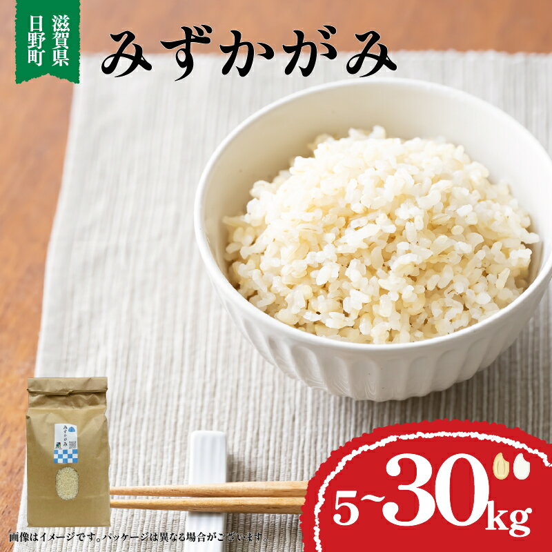 【ふるさと納税】 令和7年産 米 5kg ~ 30kg 選べる 容量 精米具合 みずかがみ 5kg 10kg 20kg 30kg 白米 玄米 2025年産 国産 滋賀県 日野町 農家直送 お米 精米 おこめ こめ 産地直送 ふるさと納税 スーパーセール お買い物マラソン