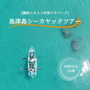 【ふるさと納税】「隠岐ユネスコ世界ジオパーク」島津島シーカヤックツアー｜体験1回｜2名様分