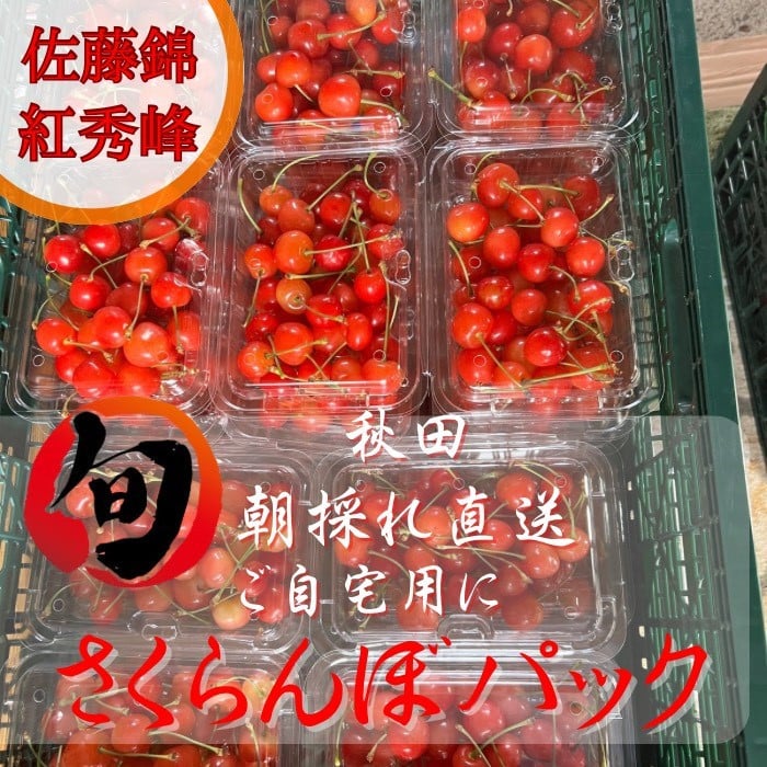
            朝採れ さくらんぼ 秋田県産 パック入り 200g×2 佐藤錦 紅秀峰 サクランボ 三関さくらんぼ ご自宅用[M5-9901]
          