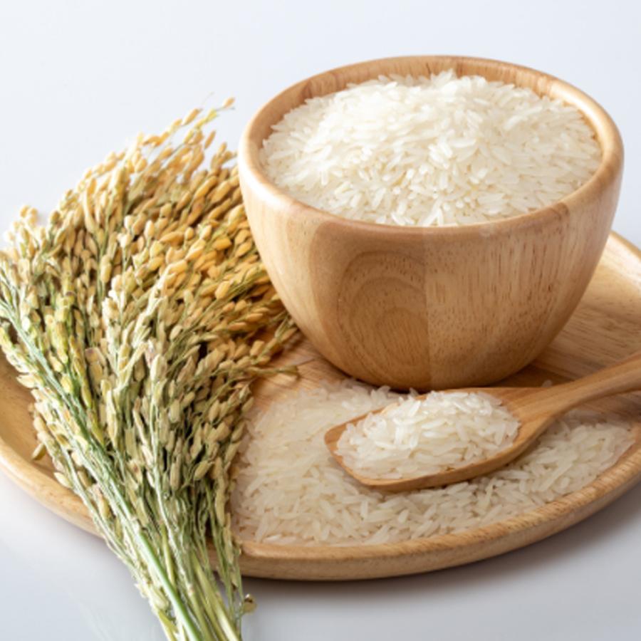 ＜BARUバイオジャパン吉村＞あきたこまち 精米 5kg