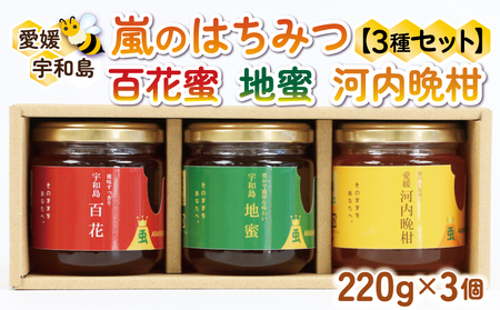 国産はちみつ 天然 100% 3種 セット 食べ比べ 百花蜜 地蜜 河内晩柑 みつばち屋嵐 嵐のはちみつ 国産蜂蜜 純粋はちみつ 天然蜂蜜 天然はちみつ 百花はちみつ みかんはちみつ 蜂蜜 はちみつ 