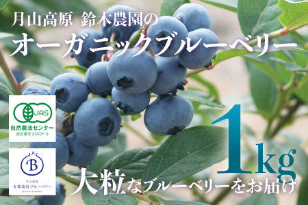【令和7年産先行予約】月山高原のオーガニックブルーベリー(大粒1kg)　K-758