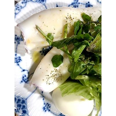 ふるさと納税 八幡浜市 竹中水産のオススメ「剣先イカ3キロ以上!」 |  | 02