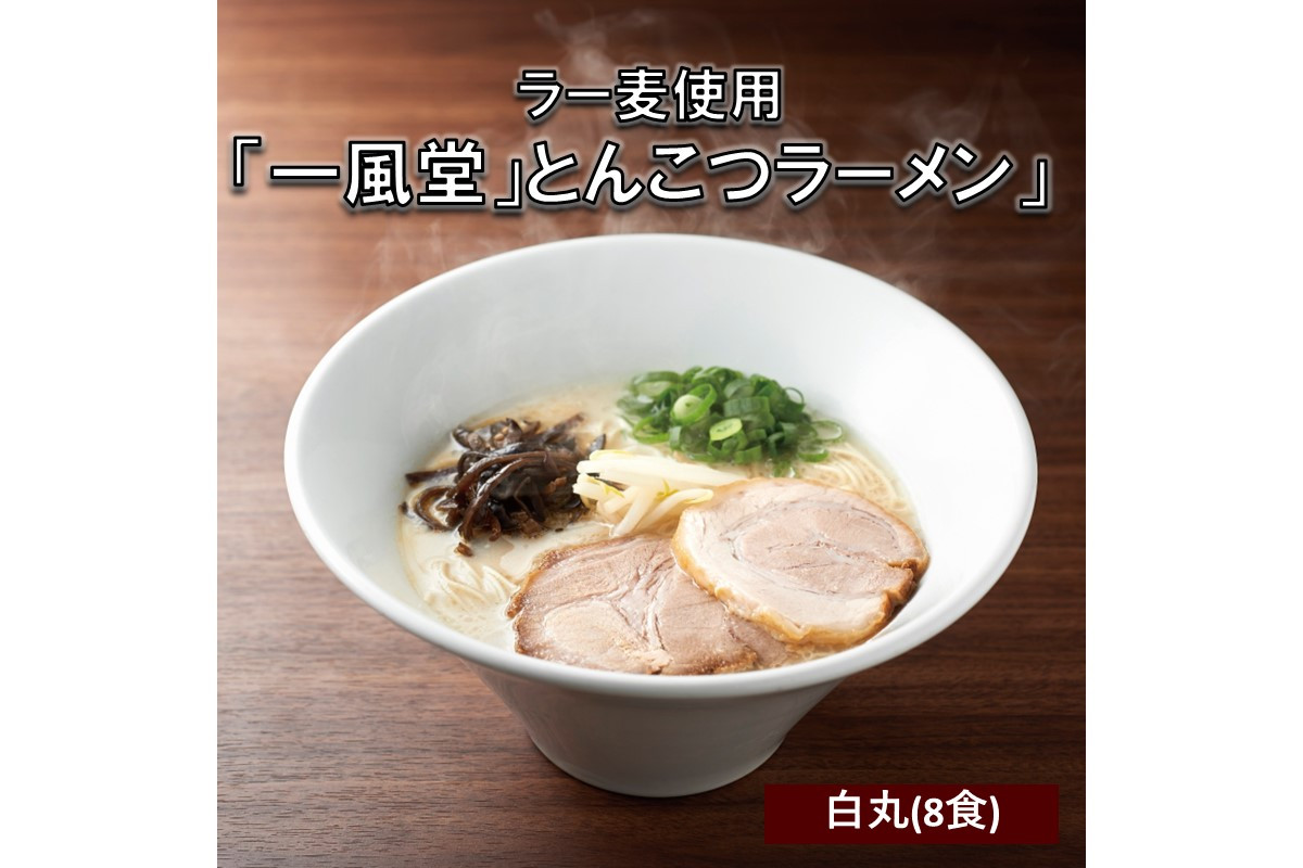 
ラー麦使用「一風堂」とんこつラーメン 白丸(8食)【A2-117】
