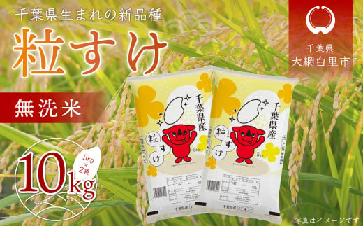 【新米】令和6年産 千葉県産「粒すけ」10kg無洗米（5kg×2袋）  お米 無洗米 10kg 千葉県産 大網白里市 粒すけ 米  こめ 送料無料 A044