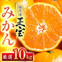 【ふるさと納税】【愛媛名産】玉宝みかん【雫・・小玉】 10kg【F64-30】【1510746】