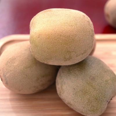 ふるさと納税 香川県 キウイ　鮮やか黄金に輝くゴールドキウイ(さぬきゴールド)　900g(5〜6玉) |  | 03