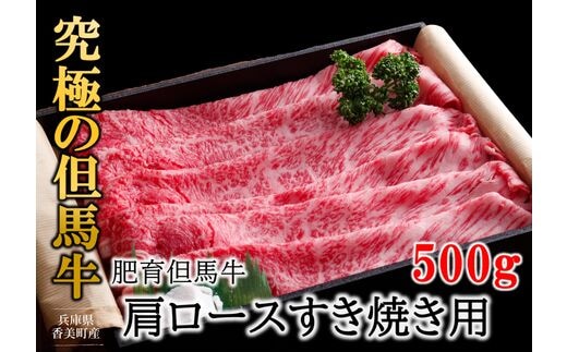 
										
										【但馬牛 肩ロース すき焼き用 合計500g 冷凍 産地直送】※発送目安：入金確認後3週間以内で発送となります。配送日の指定はできません。日本の黒毛和牛のルーツは香美町にあり 但馬牛は神戸牛、仙台牛、飛騨牛のルーツ牛です 大人気 ふるさと納税 牛肉 ステーキ しゃぶしゃぶ すき焼き 焼肉 ブランド 和牛 兵庫県 但馬 神戸 香美町 村岡 牛将 02-06
									