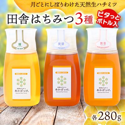 ふるさと納税 五霞町 【生ハチミツ3種類　専用ボトル入】月ごとに楽しむ田舎はちみつ　280g3本セット