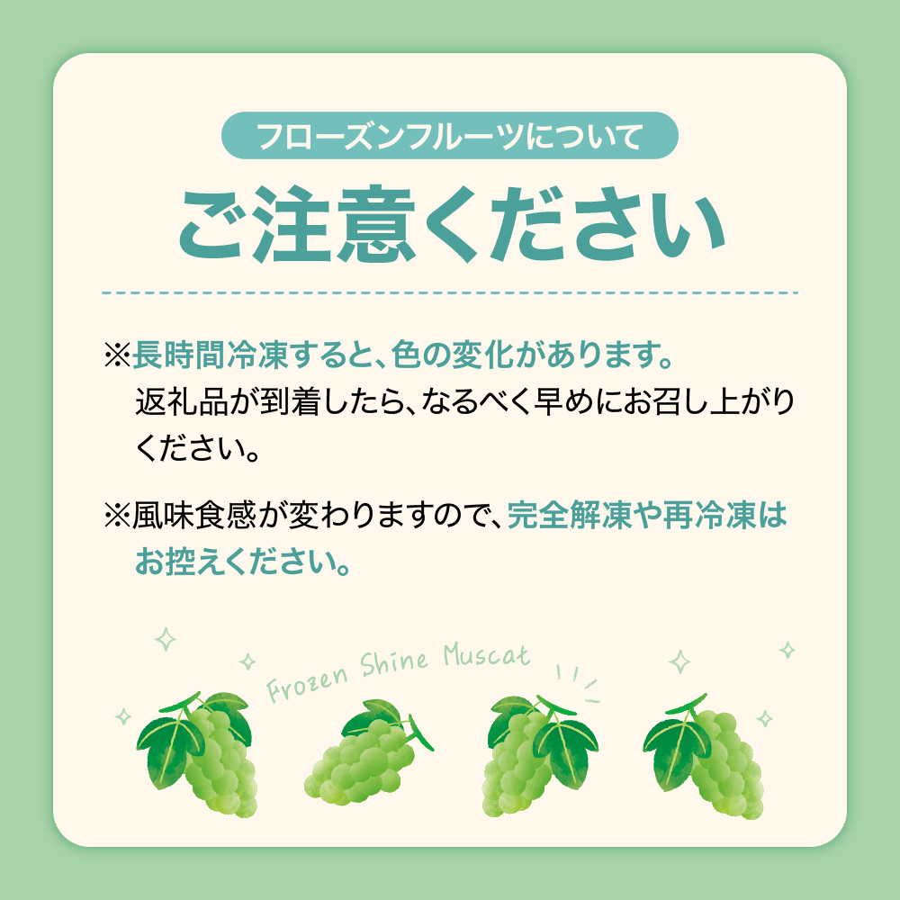 【急速冷凍】東根市産 シャインマスカット 100g×5袋 東根農産センター提供 hi027-245_イメージ3