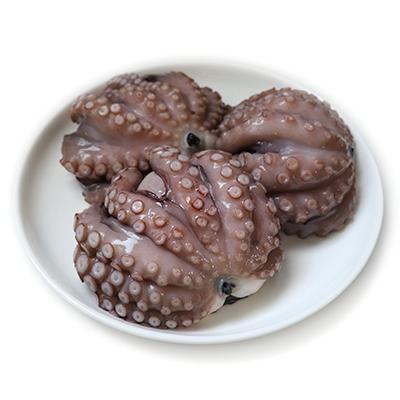 ふるさと納税 泉大津市 生洗い泉州の地タコ1kg(2杯〜3杯)