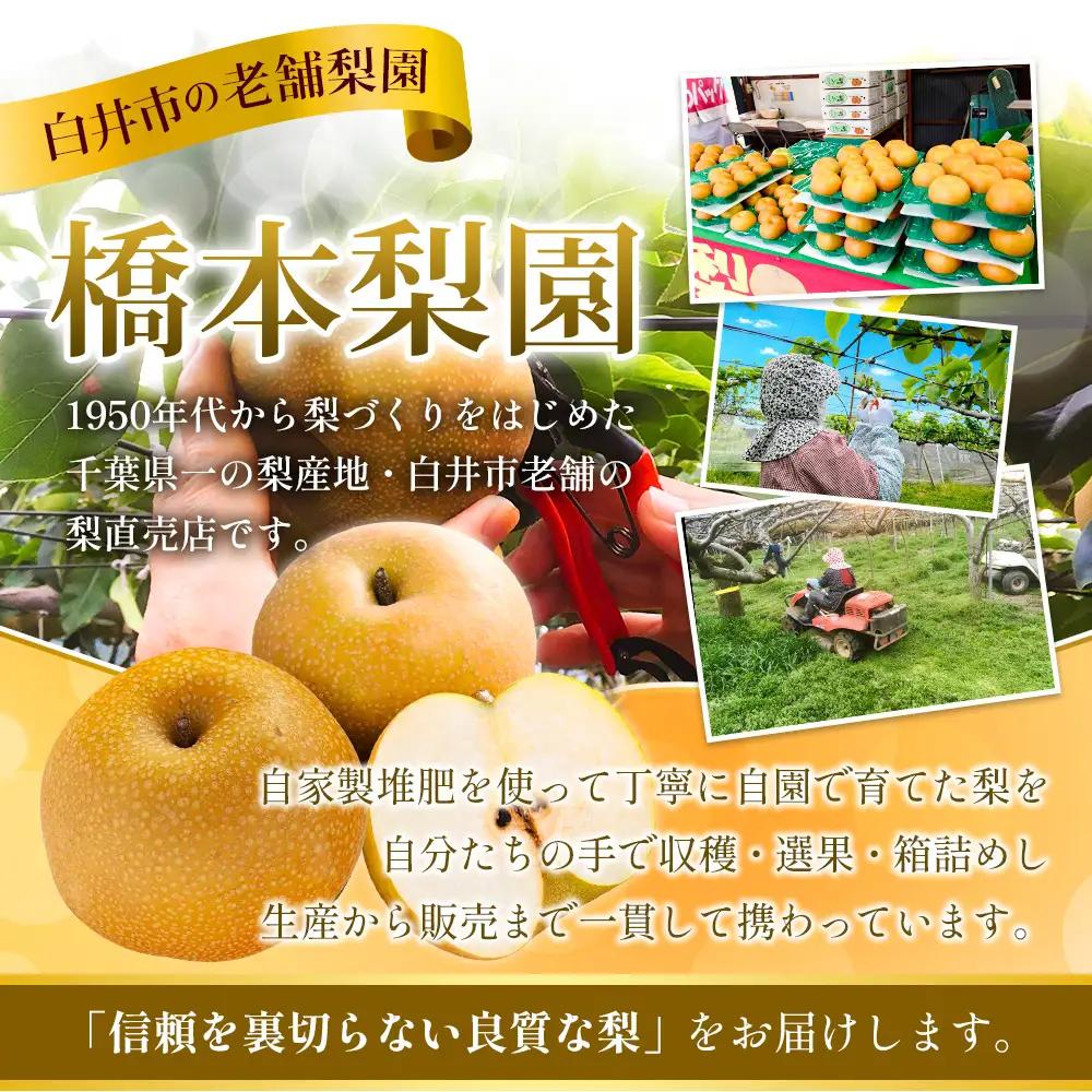 【常温便・訳あり/ご家庭用】あきづき　3kg　5～10玉