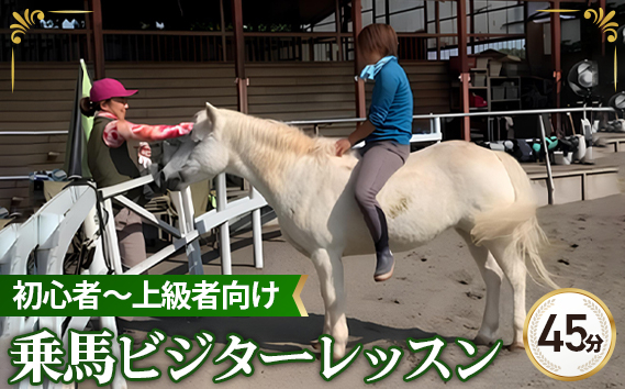 
            乗馬 ビジター レッスン チケット 45分×3回まで | 馬 うま 乗馬 体験 レッスン 自然 シエナ乗馬クラブ 埼玉県 狭山市
          