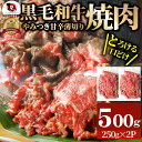 【ふるさと納税】1131-1　とろける黒毛和牛リッチな薄切り焼肉500g(250g×2P) 秘伝のタレ漬け