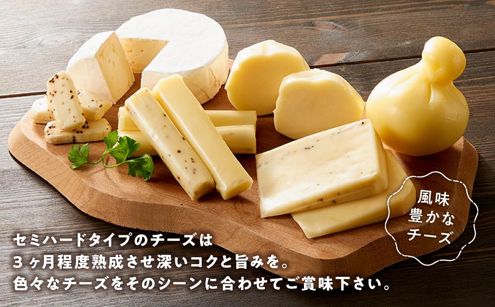 八雲チーズ村　チーズセット【 チーズ チーズセット カマンベール カチョカバロ プチ・ペンケル モッツァレラ 食品 お取り寄せ お取り寄せグルメ 八雲町 北海道 年内発送 年内配送 】