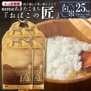 【ふるさと納税】※令和6年産 新米予約※ 【3ヶ月定期便】秋田県産おばこの匠あきたこまち　25kg （5kg×5袋）白米