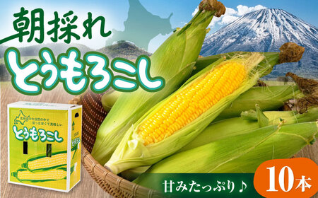 【先行予約】朝採れとうもろこし 10本 [AJAH025] とうもろこし