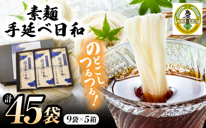 
            手延べ日和 そうめん 250g×9袋 5箱セット / そうめん 乾麺 麺 手延べ 素麺  長期保存 保存食 特産品 ギフト プレゼント 贈答用 家庭用 業務用/ 南島原市 / 舘製麺所 [SCE008]
          