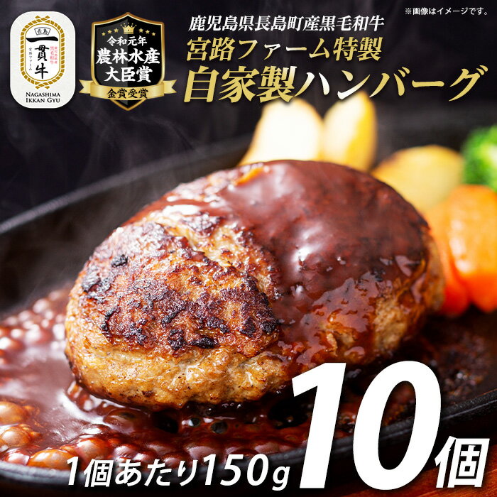 【ふるさと納税】鹿児島県産合挽き肉使用 自家製ハンバーグ計10個(1個150g)国産 鹿児島 ハンバーグ 冷凍 セット 詰め合わせ 惣菜 肉 合い挽き 合挽 豚肉 牛肉 肉 加工品 小分け 個包装 おかず【宮路ファーム】f-miyaji-7023