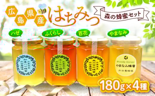 はちみつ 升田養蜂場のはちみつ 森の蜂蜜セット 180g×4種類 はちみつ 蜂蜜 ハチミツ ハニー honey お取り寄せ グルメ 国産 蜜 国産ハチミツ 国産蜂蜜 純粋はちみつ 純粋 瓶 瓶詰め 贈答用 非加熱 非加熱はちみつ 香料無添加 結晶 常温 保存 食品 健康 美容 三次 みよし 広島 贈答 ギフト 特産品 産地直送 取り寄せ プレゼント 三次市/升田養蜂場 [APAE004]